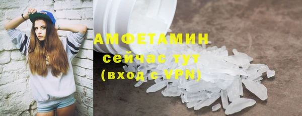 твердый Новозыбков