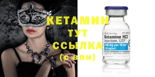 твердый Новозыбков