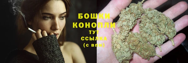 дживик Новодвинск