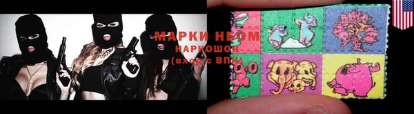 твердый Новозыбков