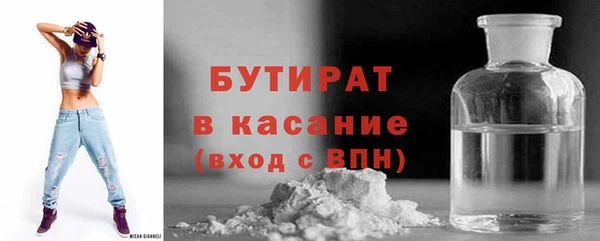 твердый Новозыбков