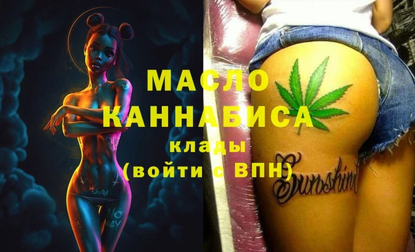 твердый Новозыбков