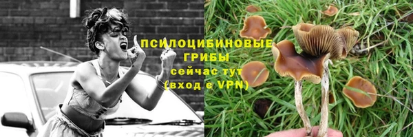 дживик Новодвинск