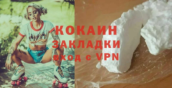 твердый Новозыбков