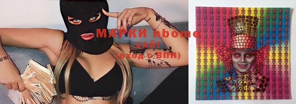 твердый Новозыбков