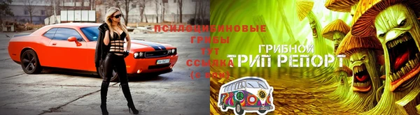 эйфоретик Нефтегорск