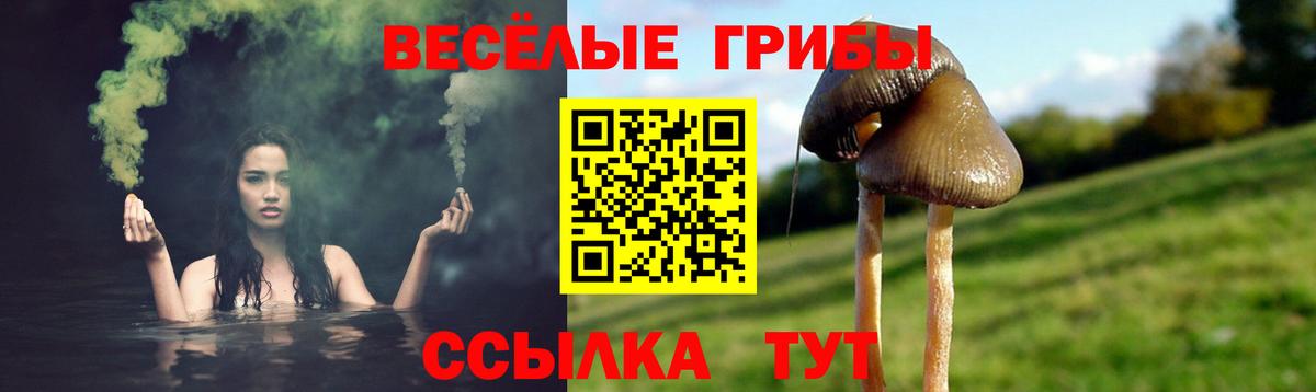 Старая Русса  Галлюциногенные грибы Psilocybine cubensis  Вход с VPN 